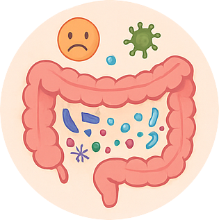 Triggers Damage Microbiome